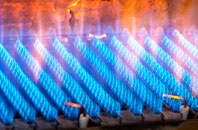Bradnor Green gas fired boilers